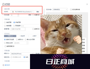 WPSOffice无法启动打印作业是什么原因 WPSOffice无法启动打印作业怎么解决