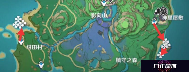 原神海灵芝收集攻略