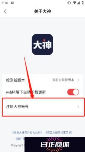 网易大神安装包
