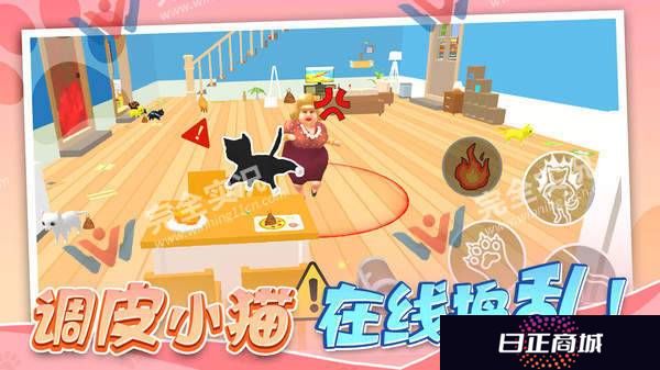 猫咪破坏王
