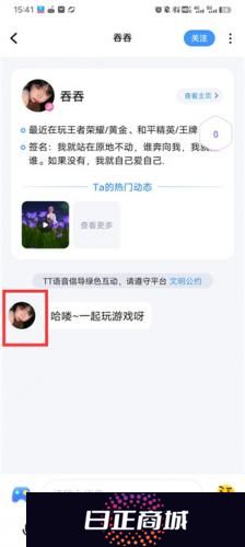 tt语音