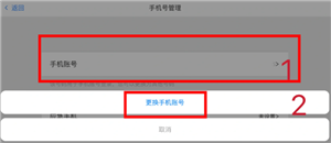 光遇怎么玩 光遇怎么加好友