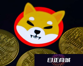 山寨币哪个币最有前景 2025最看好的山寨币有哪些