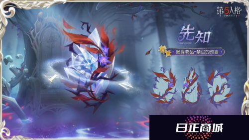第五人格4