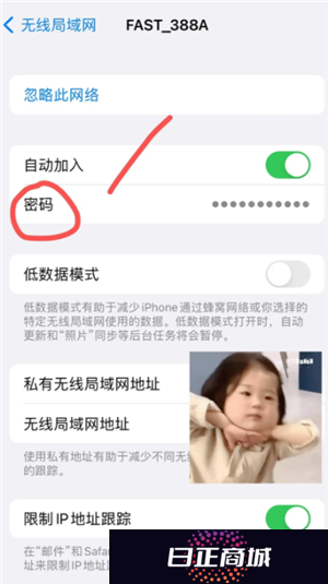 苹果手机能查看已连接wifi密码吗 苹果手机查看已连接wifi密码步骤