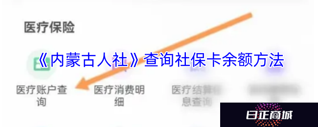 《内蒙古人社》查询社保卡余额方法